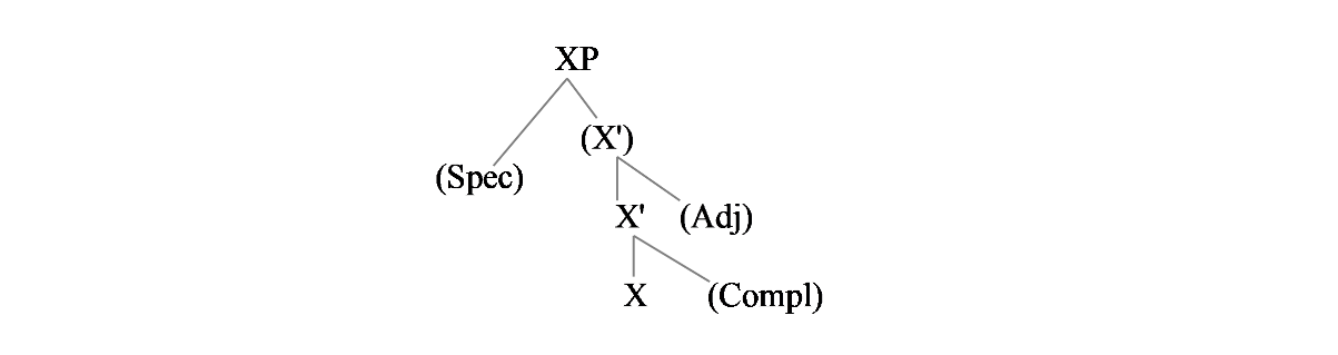 Figure 3: X'-Theory