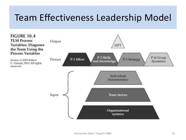 Figure 3. Ginnett's Team Leadership Model