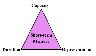 Figure 2: Short Term Memory