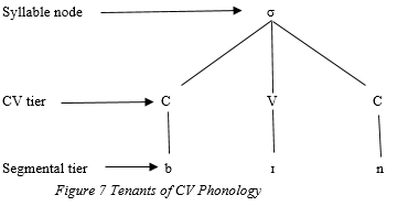 Figure 7: Tenants of CV Phonology
