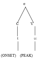 Figure 11: Peak and onset in syllable structure
