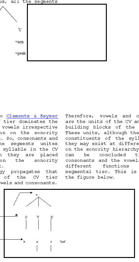 CV tier dominating consonants and vowels