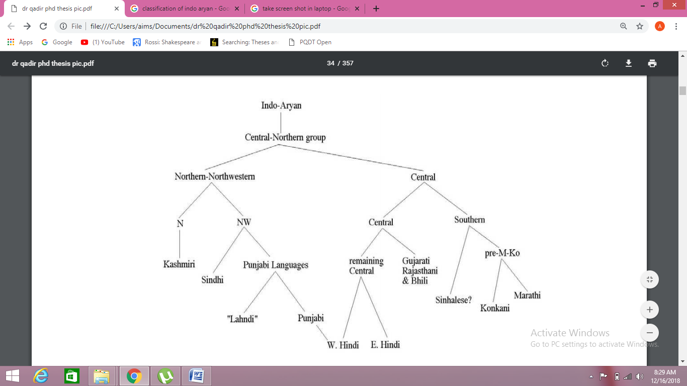 Figure 2: Nigram's (1972) classification of the Indo-Aryan languages (central-northern group)
