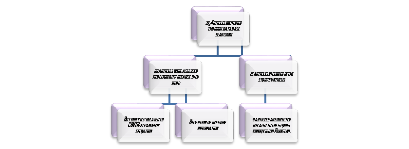 Figure 1. Literature selection process for the study