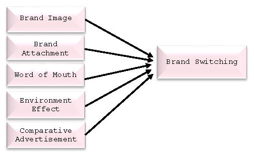 Figure 1: Table of Brands Choice