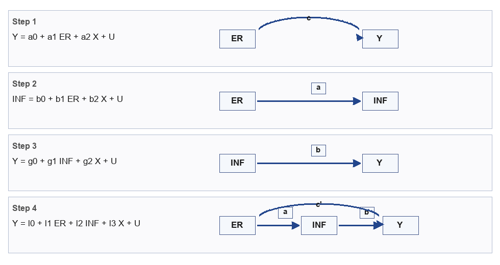 Figure 1: Direct and Indirect Mediation Paths