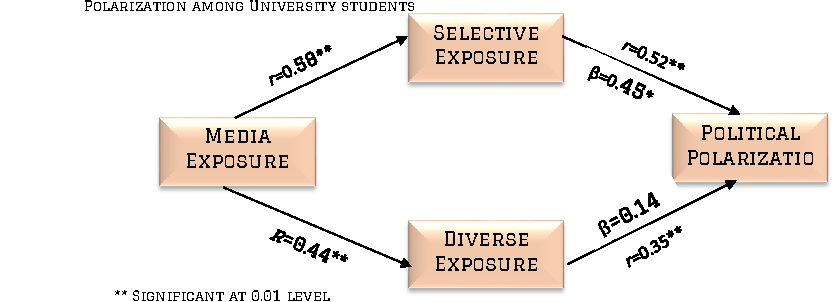 Figure 1. Media, selective & diverse exposure and polarization