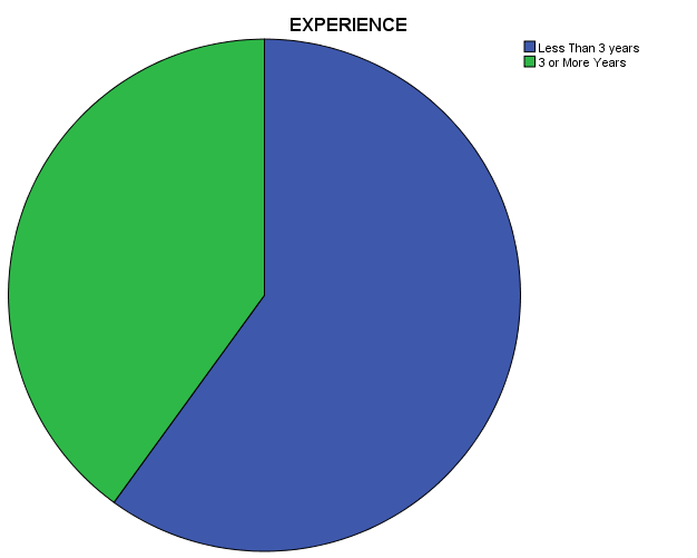 Graph 4. Experience distribution