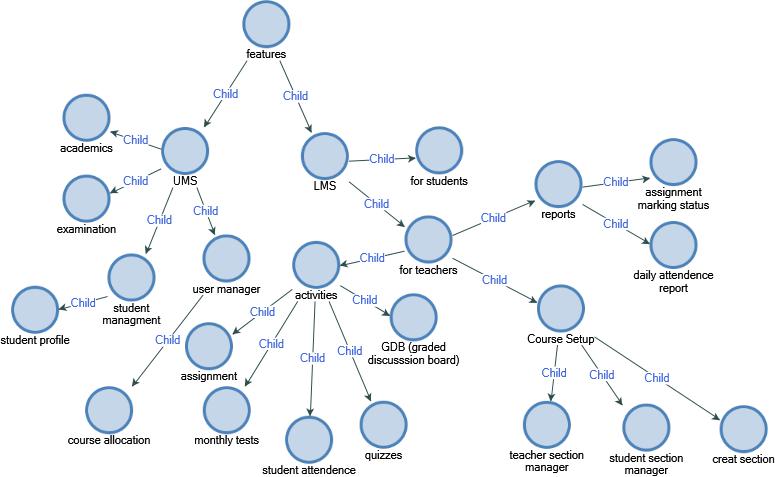 Figure 3: Hierarchy of Identified Detailed Themes Map of Thematic Analysis in NVivo12 for Features.
