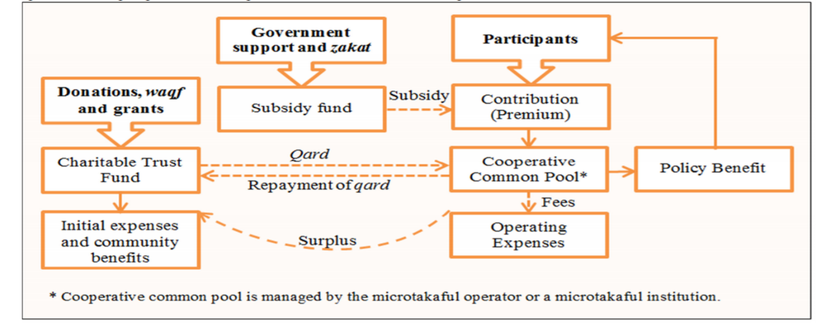 Figure 1: Proposed Conceptual Framework for Micro-takaful Based on the Principle of Cooperation
