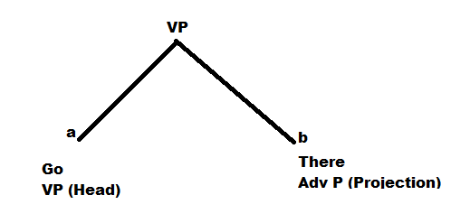 Figure 3. A verb pharse with 'Go' as a head word shown in node 'a' given projection by an adverb pha