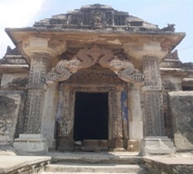 IMage 7