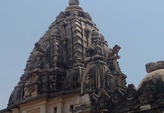 IMage 8
