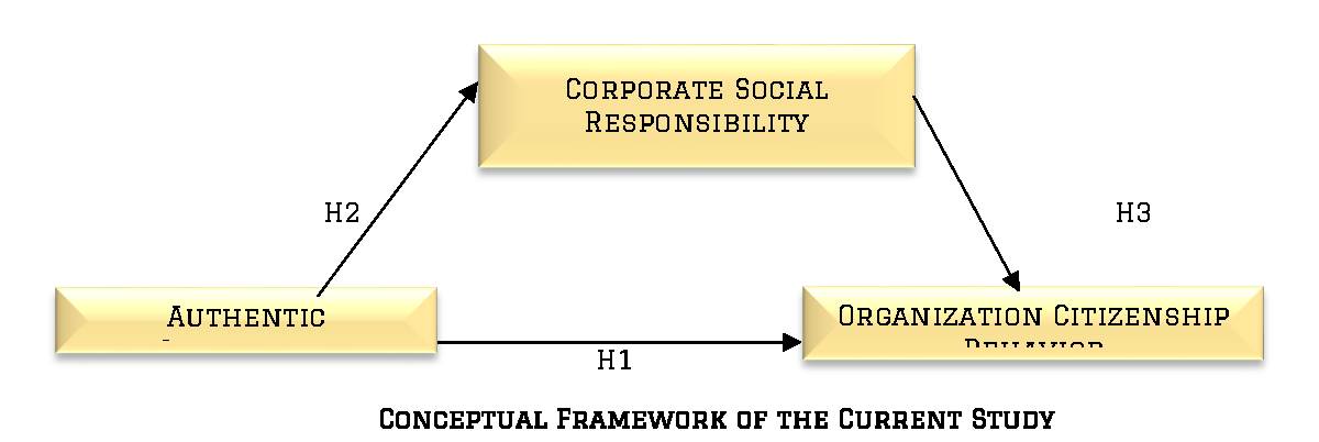 Figure 1. Conceptual Framework of the Current Study