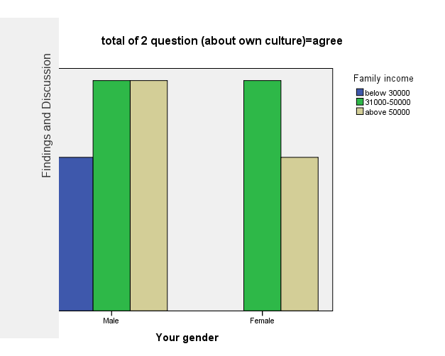 Figure 4. Agreement on own-culture questions by gender and family income