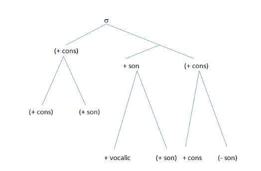 Figure 2. English Syllable Template